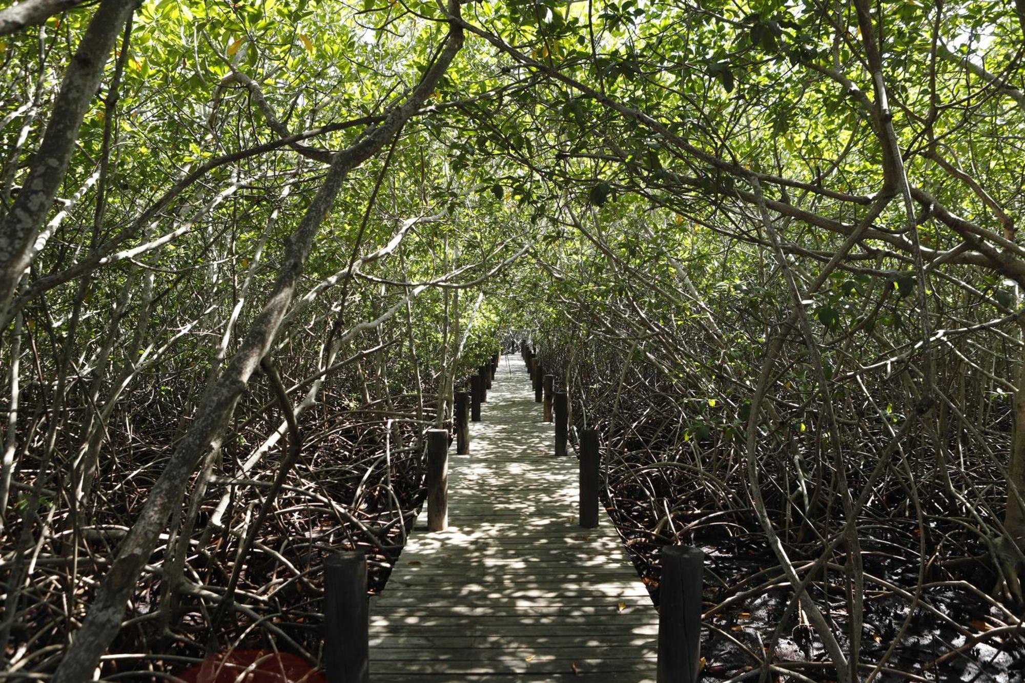 Отель Sal Si Puedes Tintipan Island Экстерьер фото