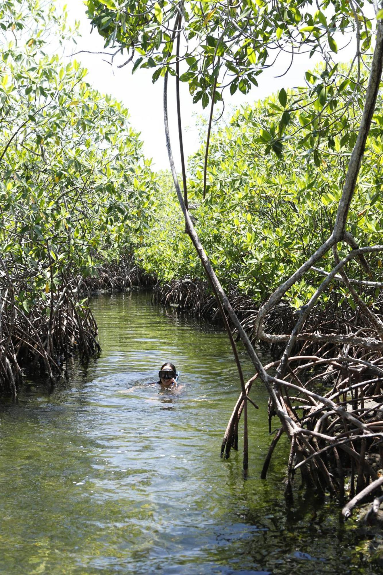 Отель Sal Si Puedes Tintipan Island Экстерьер фото